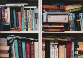bookshelf with texts from using AI for academic references